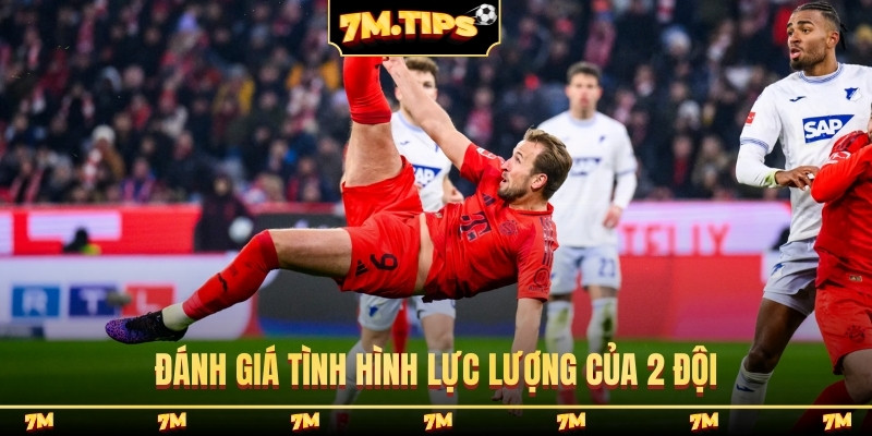 Đánh giá tình hình lực lượng của 2 đội