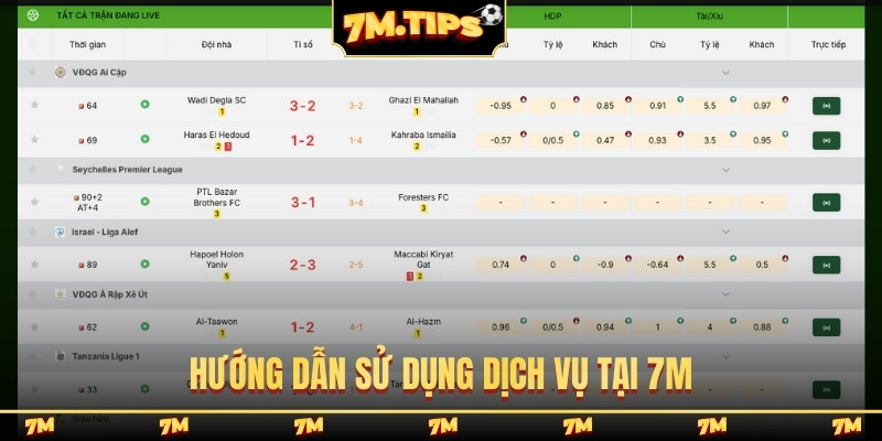 Hướng dẫn sử dụng dịch vụ tại 7M